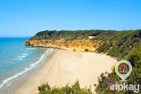 Cala Fonda (Waikiki)