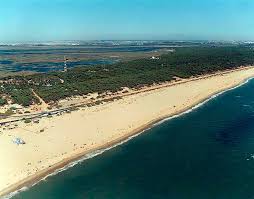 Playa de la Bota