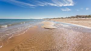 Playa de Oliva