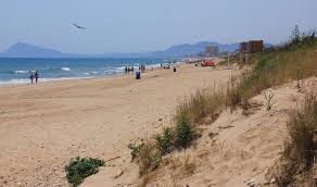 Playa de Rafalcaid