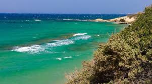 Playa de Aliko (Bosque de cedros)