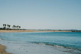 Playa de l'Ardiaca