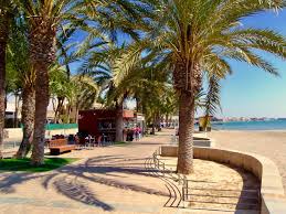 Playa de Villananitos